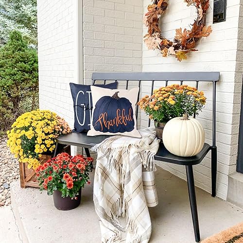 Miniatura 4 de Fundas de almohada de otoño de 20 x 20 pulgadas, fundas de almohada de calabazas azules para casa de campo, fundas de cojín de otoño, fundas de