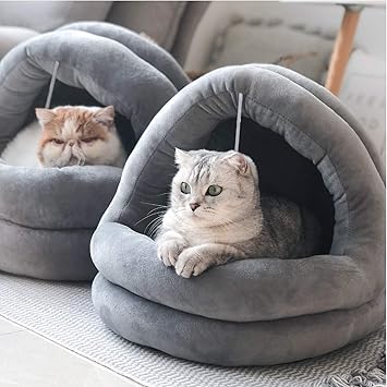 inexpensive cat beds