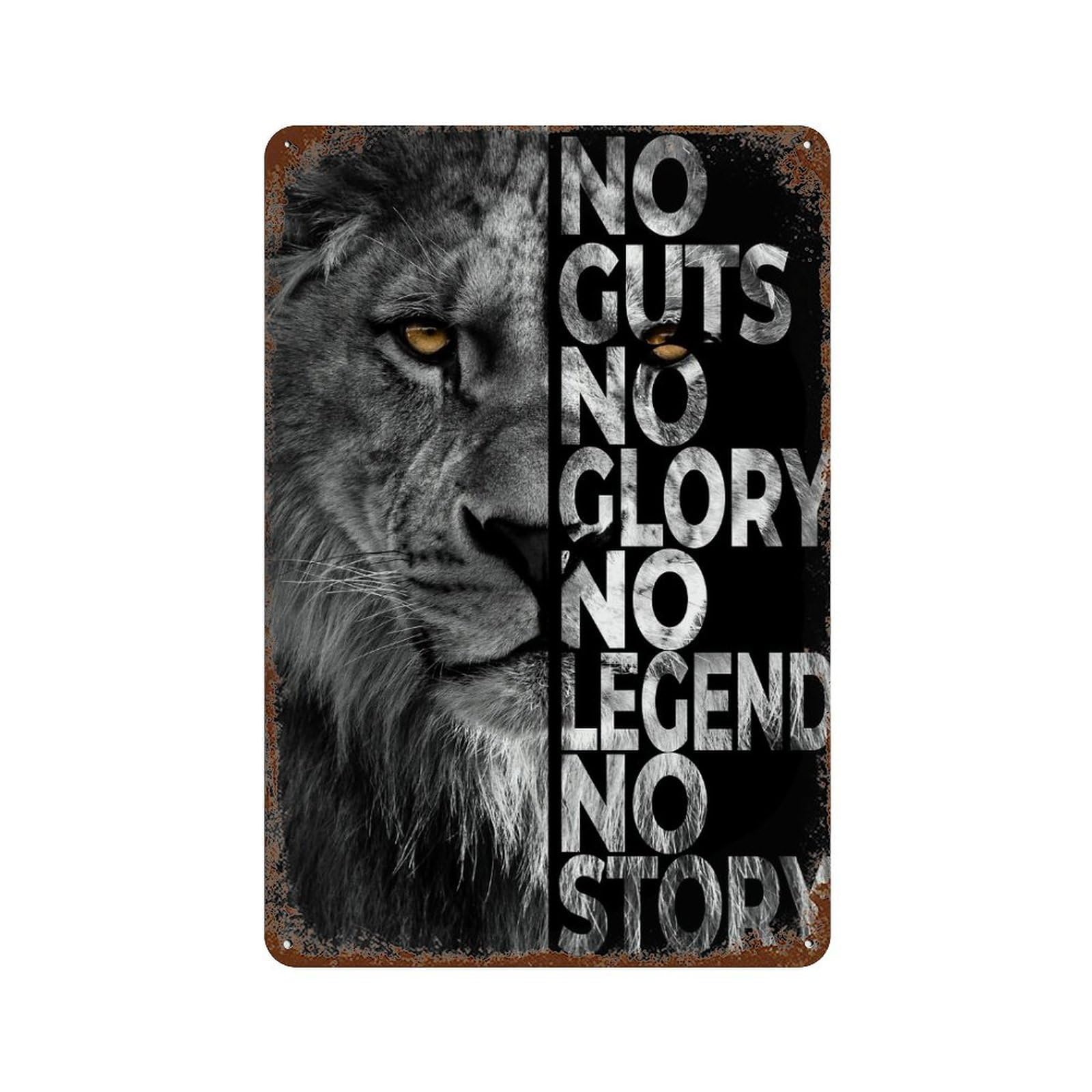 No Story Rustic Tin Plaque 11.8"x7.9", for Pub, Kitchen And Man Cave Decor, Vintage Wall Decor