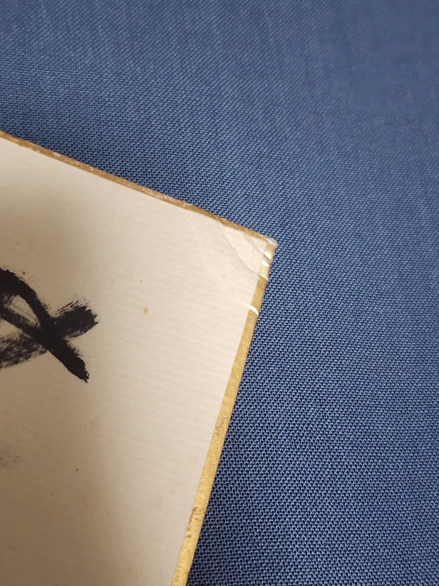 Amazon.co.jp: LAZY レイジー 1970年代昭和レトロ 寄せ書き直筆