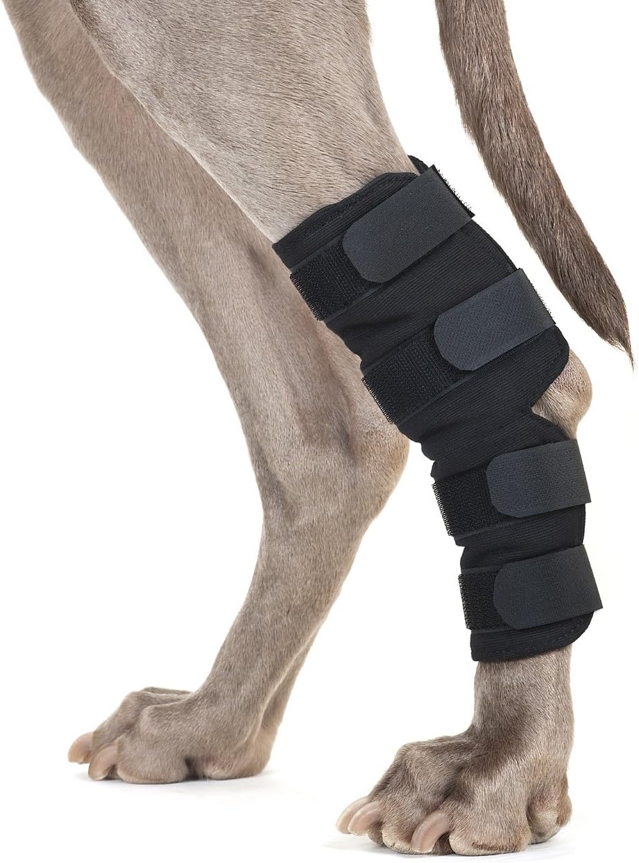 Back on Track Dog Hock Wraps (Pair), Color: Black (310200) : Sports & Outdoors