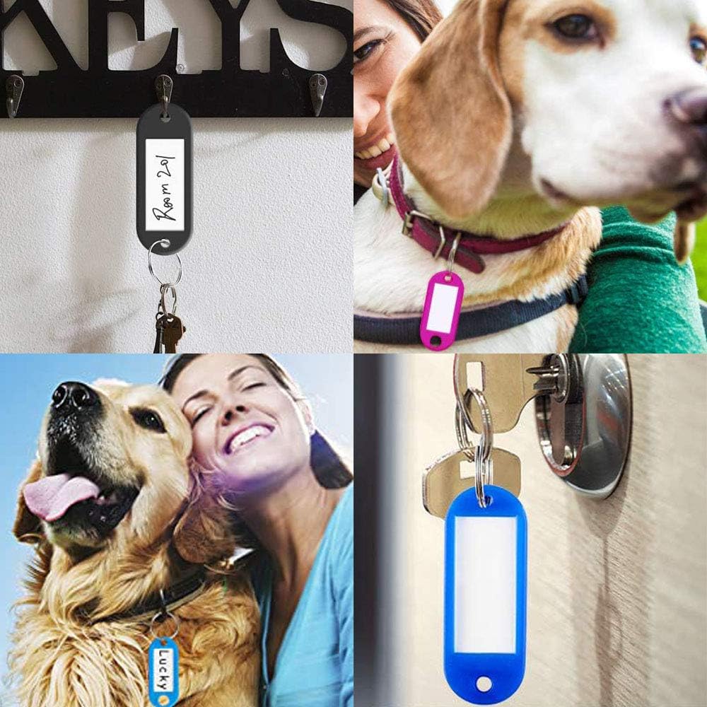 100 PCS Plastic Key Tags, Label Window with Rotating Split Ring, Key ID Tags for Name Tag, Key Chain Tag, Luggage Tags, Warehouse Key Tags, Plant Tags, Backpack Tags, Handmade DIY Key Tags, 10 Colors : Office Products