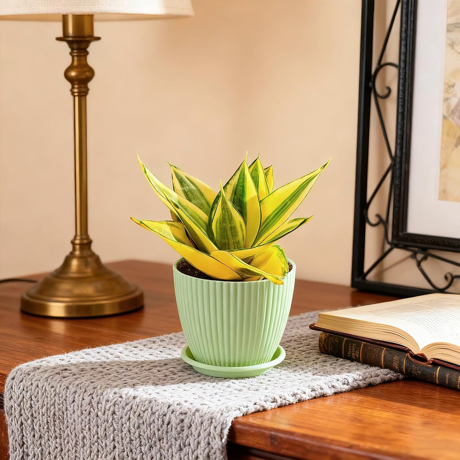 Live Plants Snake Plant in 4" Green Plastic Pot, Easy to Grow Houseplant, Indoor Bonsai, Home Office Decor, Birthday Housewarming Gift