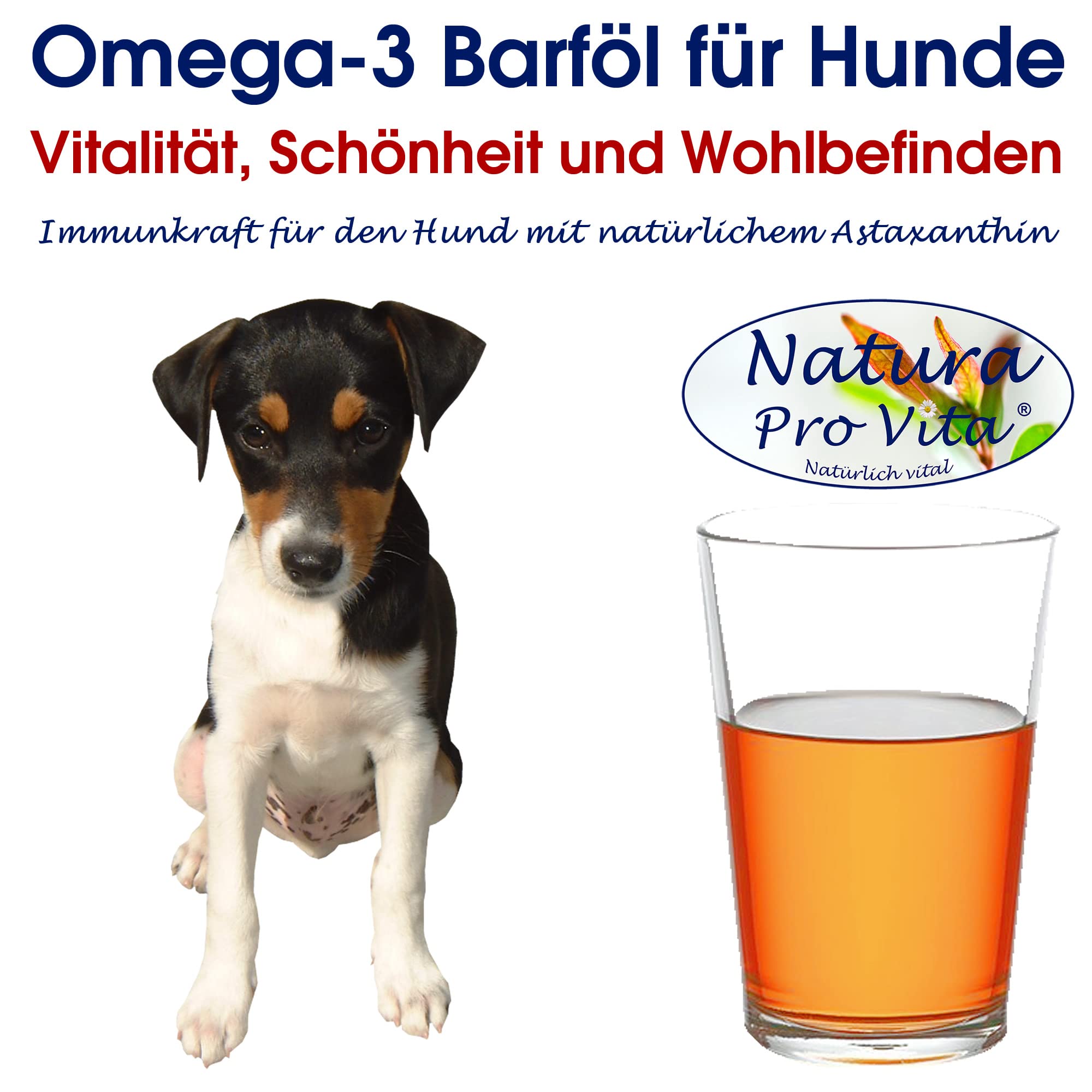 Lachsöl für Hunde Lebensmittelqualität Omega-3-Öl Natura Pro Vita kaltgepresst Fischöl gut für Haut und Fell Barföl Hund Immunkraft 20L (4X 5L)