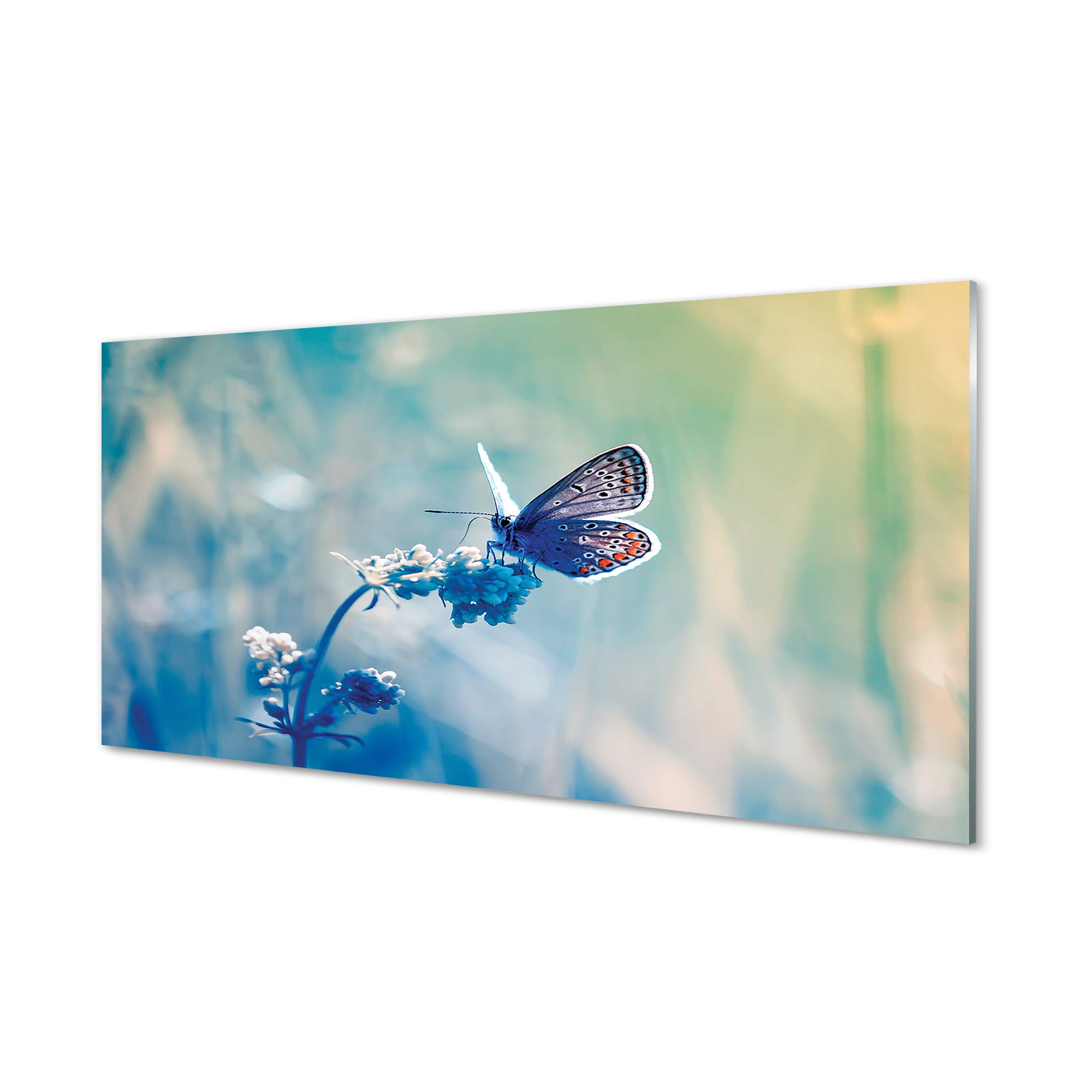 Impression sur verre Tulup 100x50cm apporte la beauté de la nature dans votre chambre