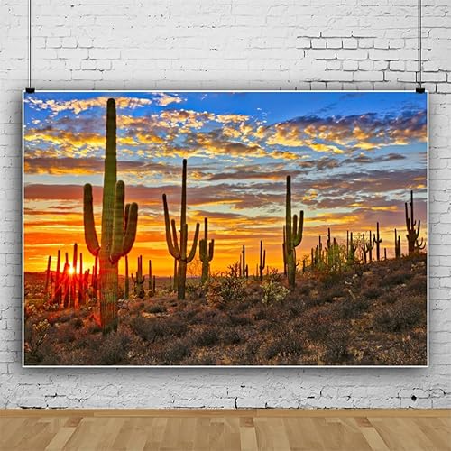 Laeacco 10x7ft Desert Scenery Backdrop Desert Gobi Sunset Prickly Cactus Saguaro