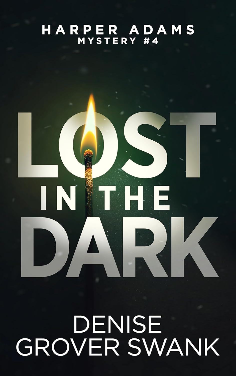 Lost in the Dark (Harper Adams Mystery Book 4)      Kindle Edition