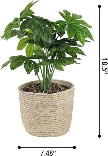 Miniatura 3 de GIA Planta de oreja de elefante artificial de 2122 pulgadas en cesta para decoración del hogar en interiores, plantas de hojas sintéticas en maceta