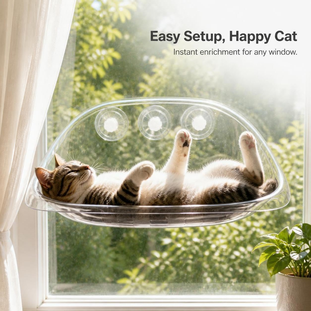 Perchoir Fenêtre Chat Transparent, Plastique - Facile à Nettoyer - hamac pour Chat - 52x32x21 cm - Caoutchouc - pour Les Chats