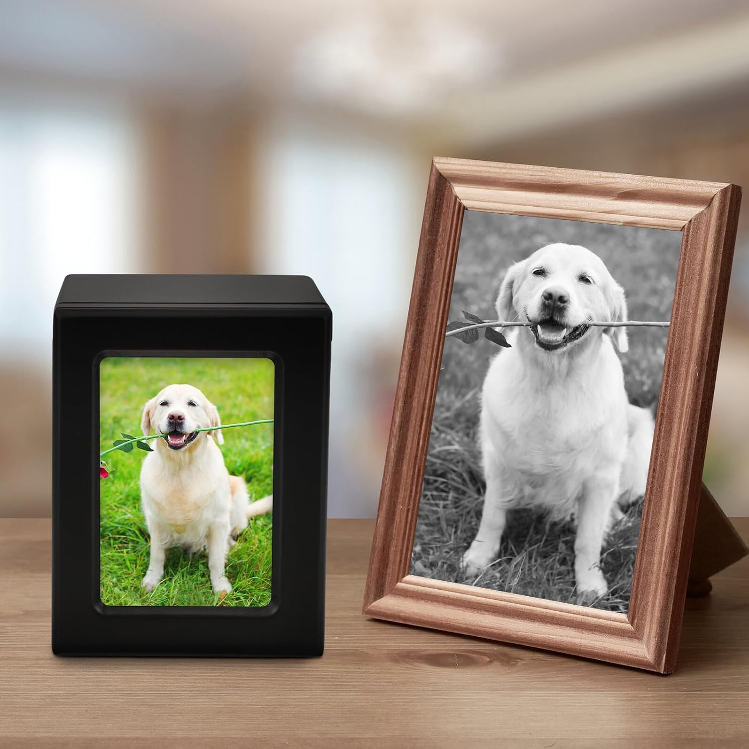 Homoyoyo Pet Memorial Urn for Dog and Cat Ashes Wooden Cremation Casket with Photo Frame 9x9x13cm Black Pet Ashes Keepsake Box for Home Display