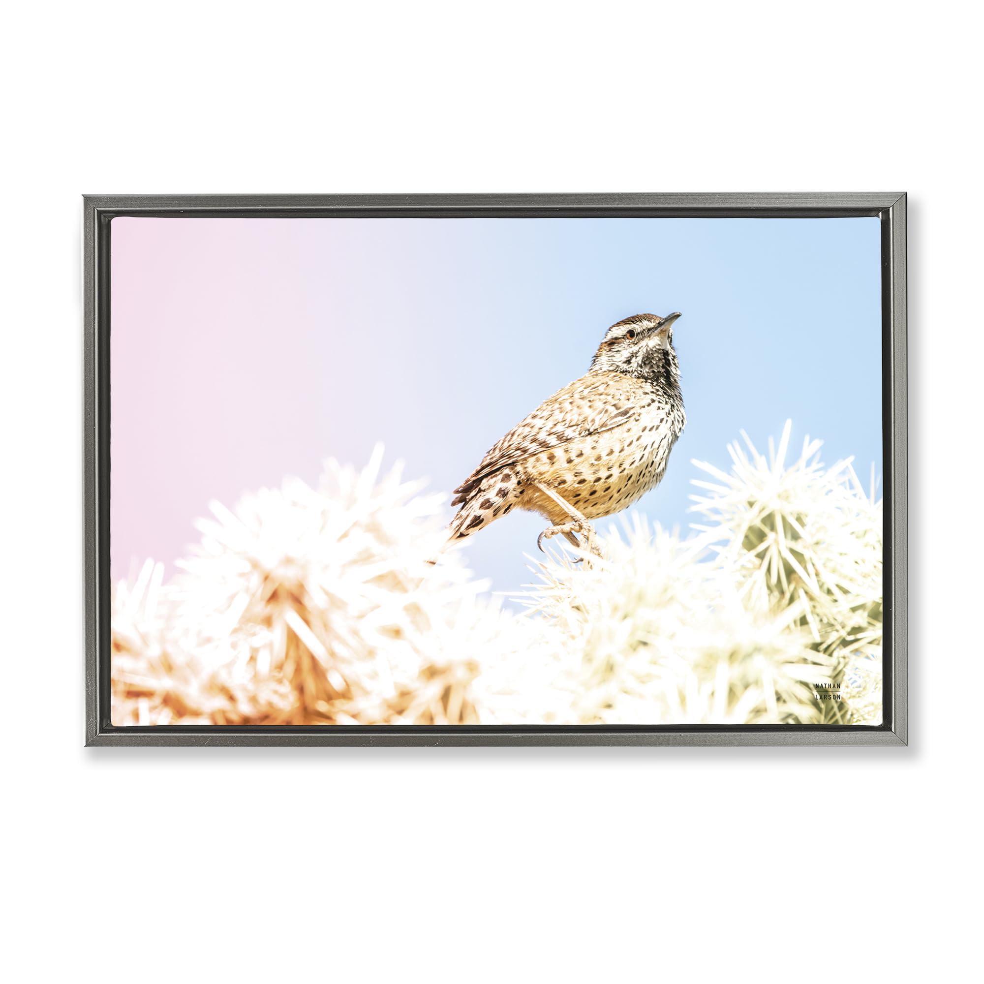Stupell Industries 'Desert Song Bird', Floating Frame Canvas Art, Gray, 31 x 21