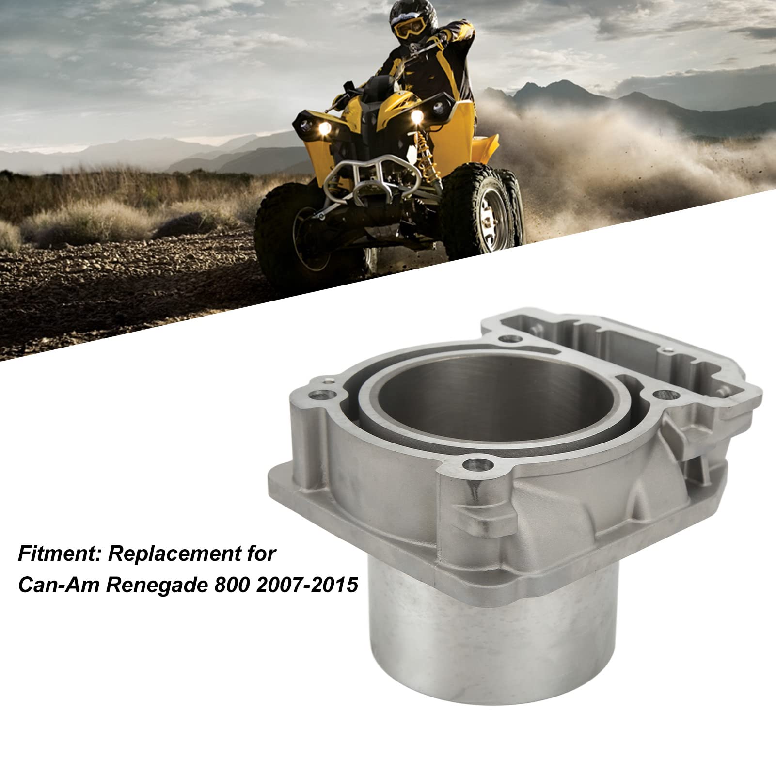 Kit Cilindro Motore, Pistone da 91 mm e Set Guarnizioni Compatibile con Can-Am Renegade 800 2007-2015, Componenti per Revisione e Ricostruzione del Gruppo Termico ATV