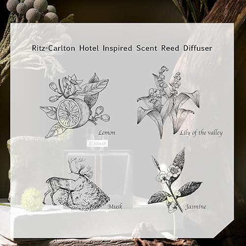 Miniatura 3 de JCLOUD Juego de difusor de varillas inspirado en el hotel Ritz-Carlton, difusor de aceite perfumado de lujo con palos, difusor de fragancia para el