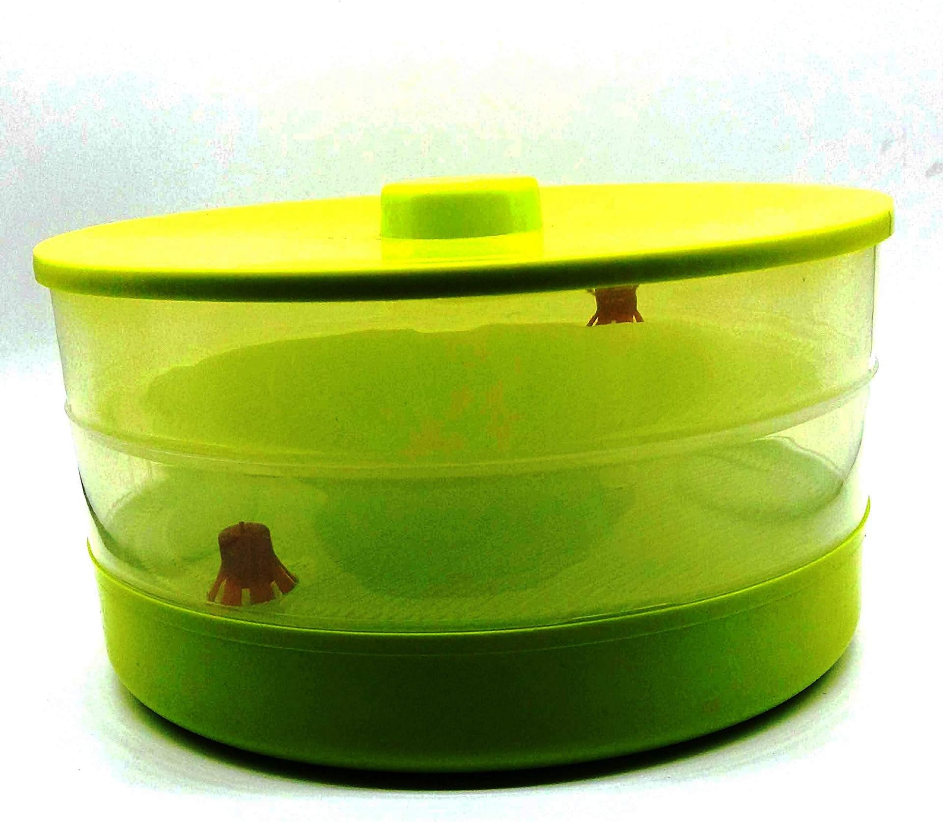 Perfect Buy Plastic Sprout Maker Container - Green