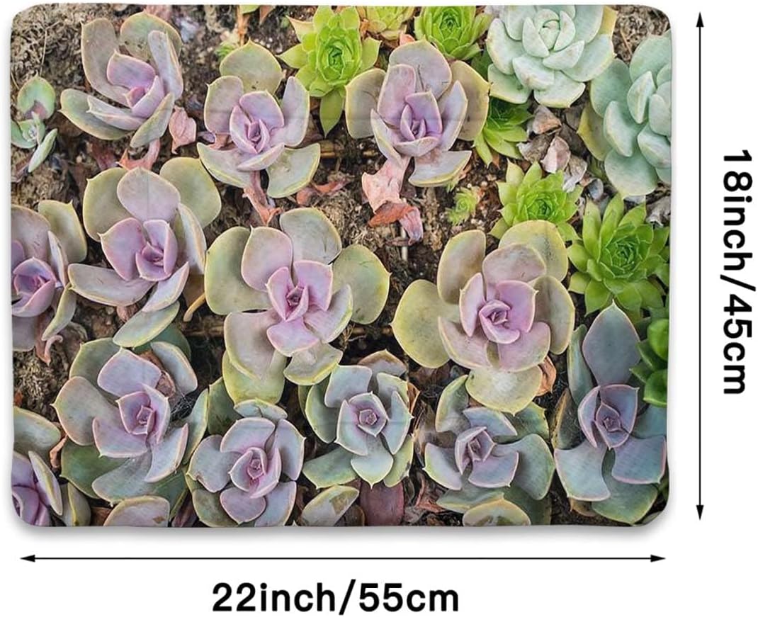 review Green Thermal Pet Mat Bed Liner Cute Succulents Flower Desert Soft Flannel Thickened Pet Soft Fleece Pad Pet Bed Mat Hot Plant Artwork 18