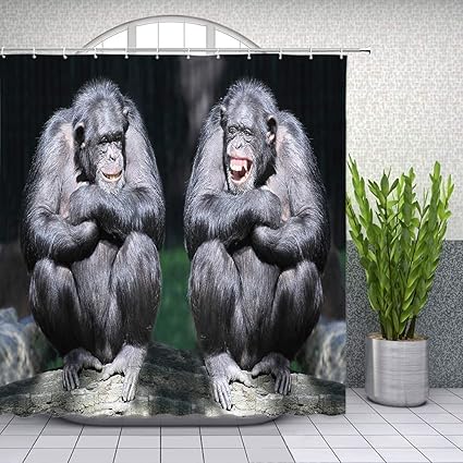 Amazon デザインシャワーカーテン チンパンジーの面白い動物は太陽を楽しむ フック付きの防水シート生地のバスルームの装飾 シャワーカーテン ホーム キッチン オンライン通販