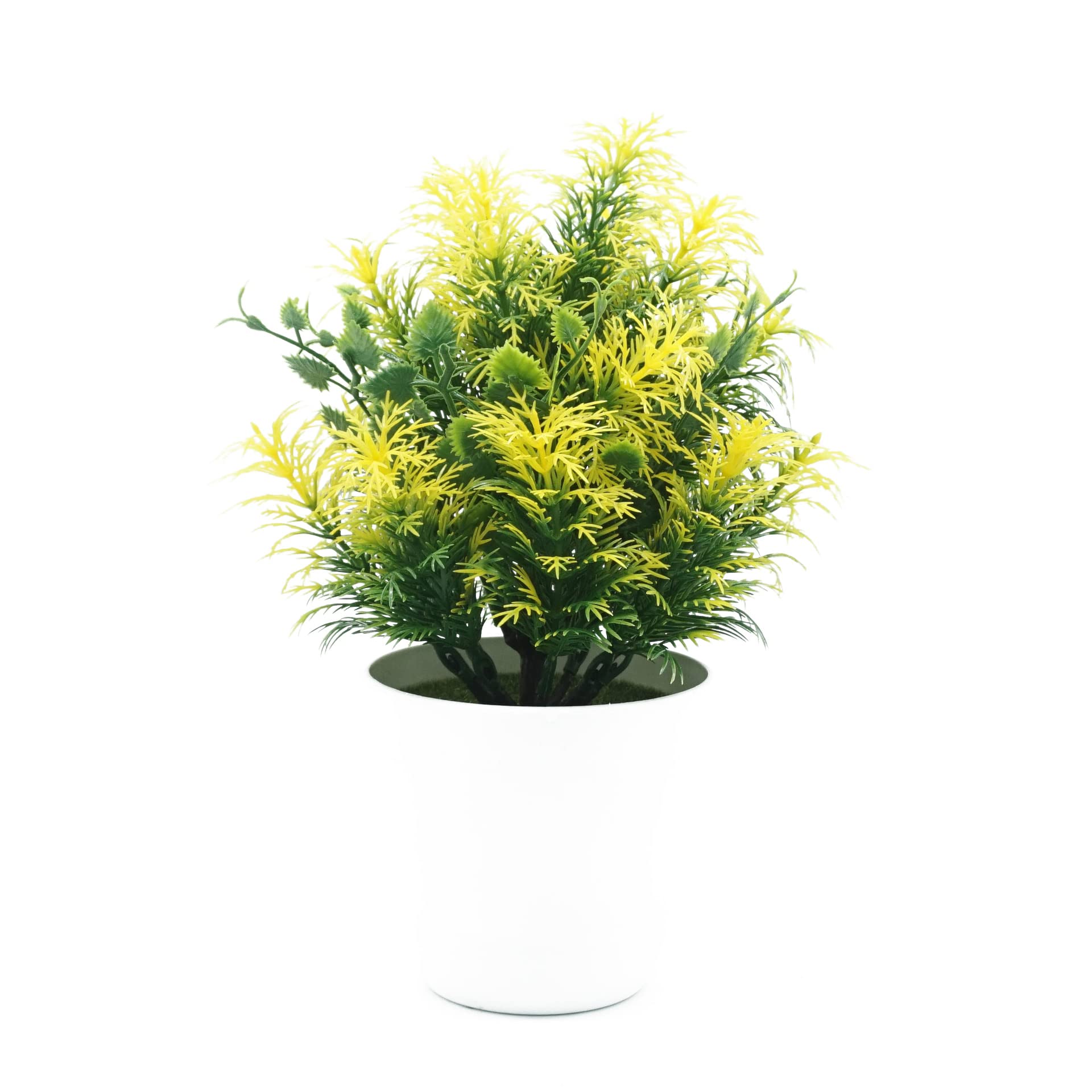 zitronenbaum zimmerpflanze essbar Zitrus Zitrone auf Gestell | 160cm
