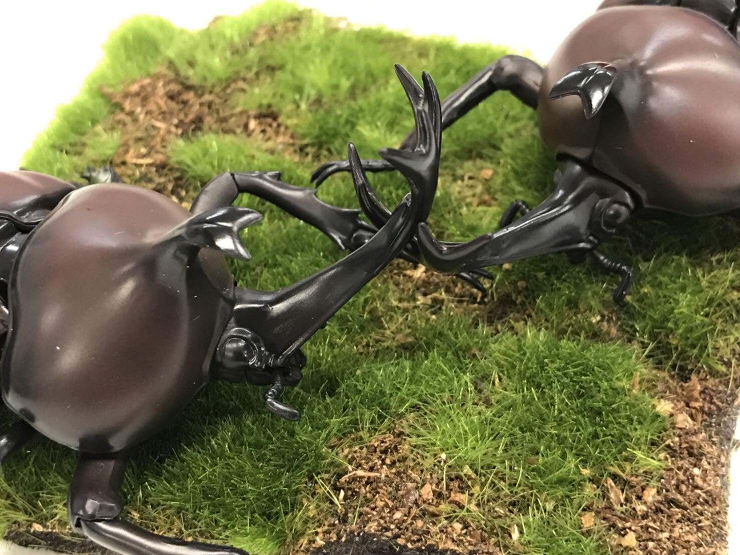 Free Research Series No.21 Ikimono Hen Beetle Plastic Model