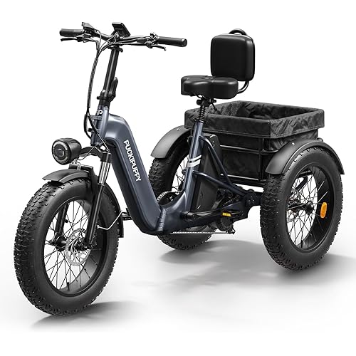 Electric Trike for Adult with 960W Peak Motor, 48V 17.4AH Cells Battery, Pickup Class 500 LB Load Electric Tricycle with 20" Fat Tire and Large Basket, 60 Miles Range, for City and Mountain Road