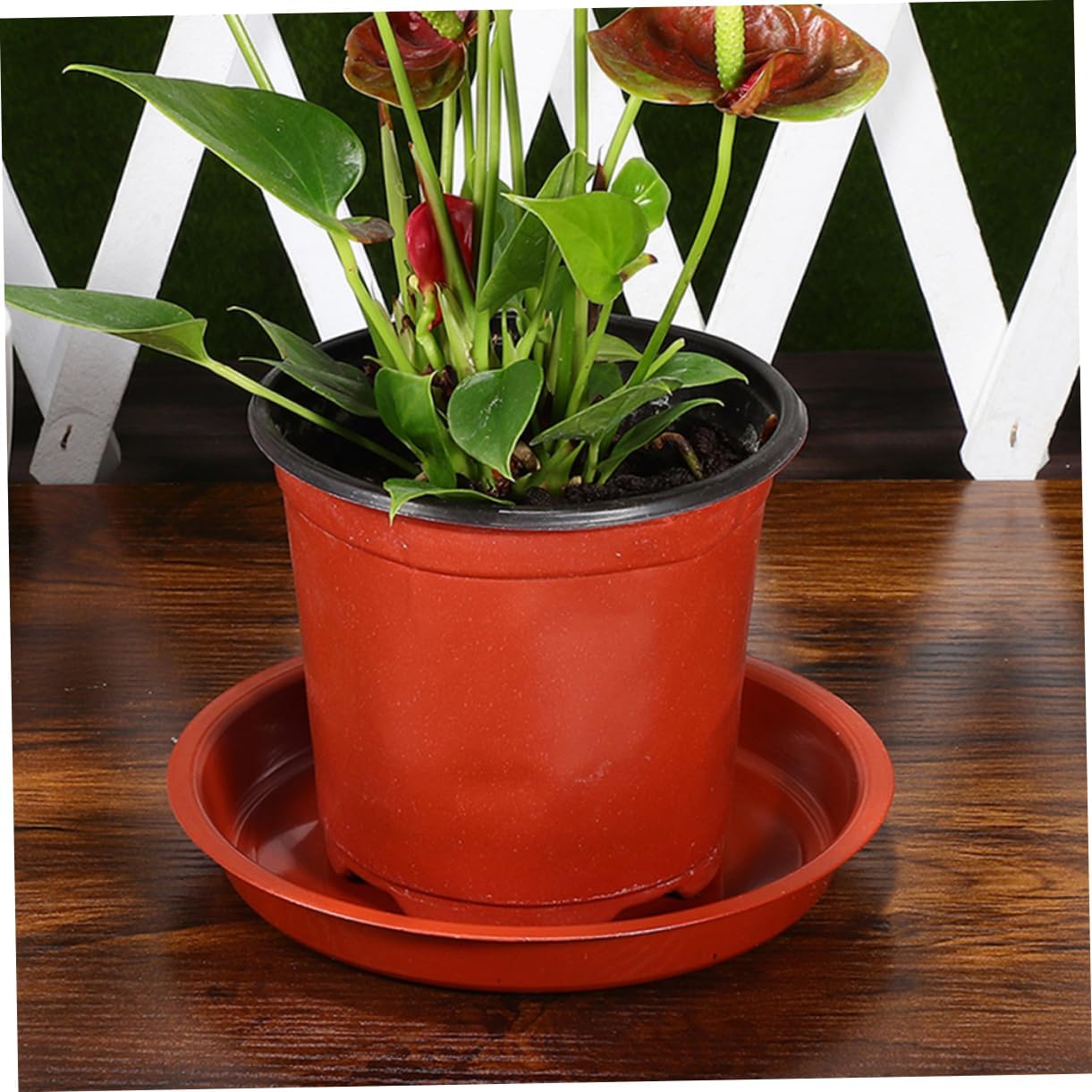 6pcs Thick Flower Pot Saucer Trays for Potted Plants Round Drip Plates for Indoor and Outdoor Use for Bonsai and Gardening Projects