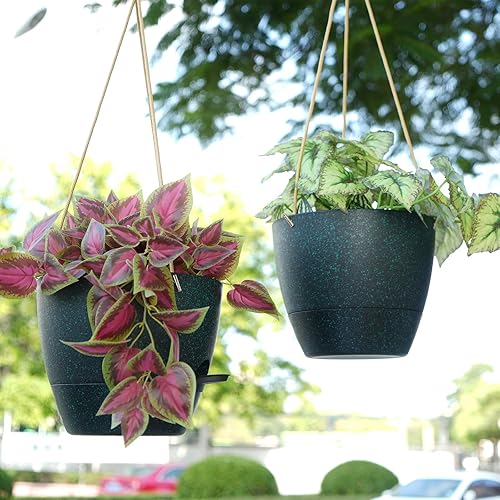 Miniatura 5 de SwinDuck Macetas colgantes de riego automático de 10 pulgadas, paquete de 2 macetas colgantes con depósito profundo de 40 onzas Z para plantas de