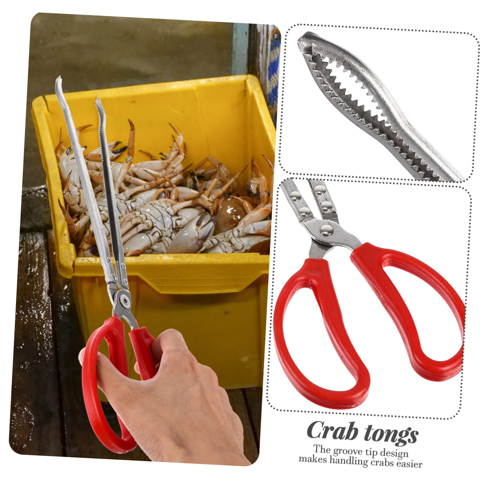 COLLBATH Pince à Anguilles Outil Multifonction en Acier Inoxydable Antidérapante et Résistante à L'usure pour Attraper Crabes et Poissons Domestique la Maison