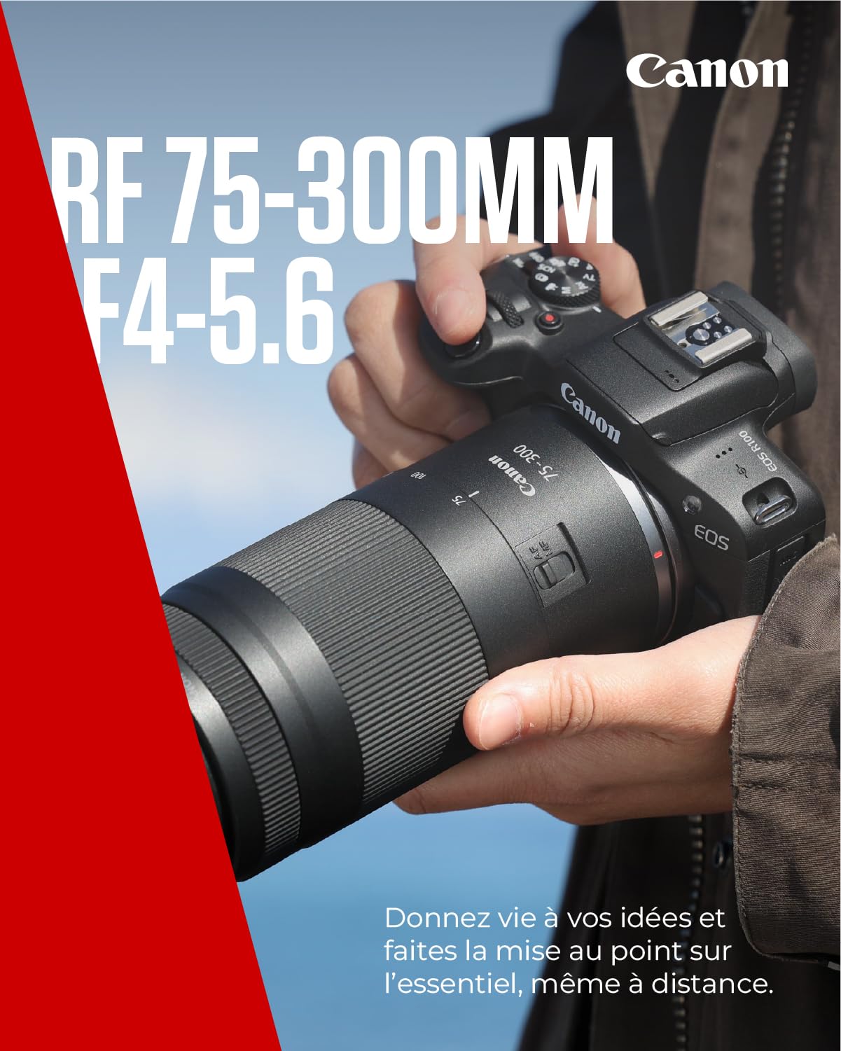 Objectif Canon RF 75-300mm F4-5.6 Téléobjectif Zoom pour Photographie Animalière Sportive Moteur AF Traitement Super Spectra Compatible EOS R