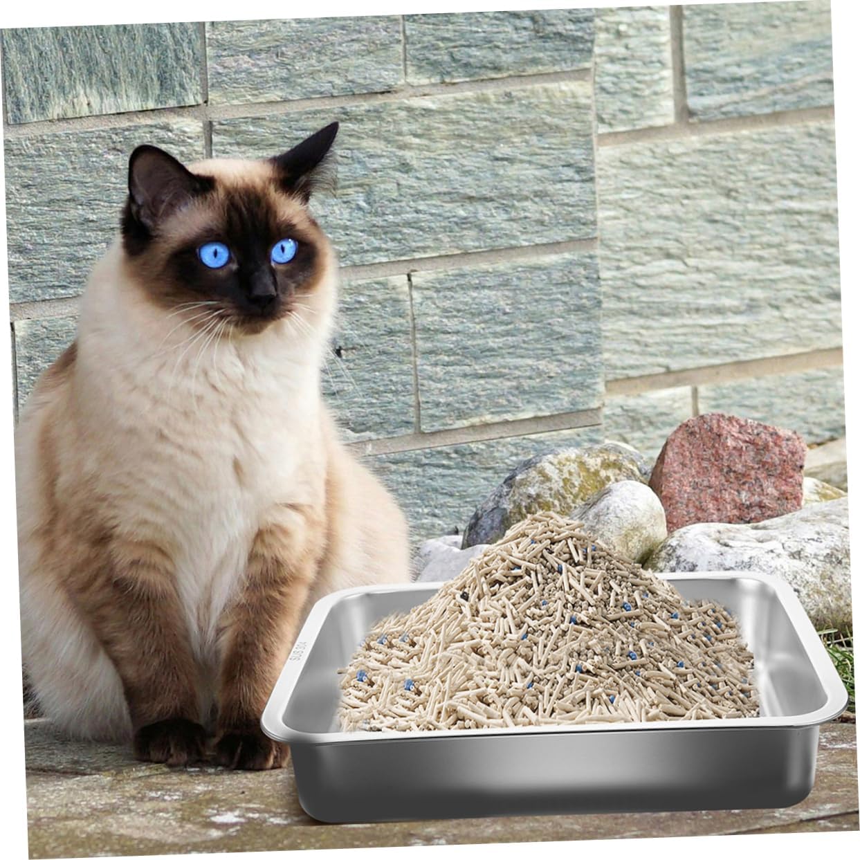 BESPORTBLE Potty Pan Stainless Litter Bin Large Kitten Litter Box Metal Pan Tray Easy Clean Feature