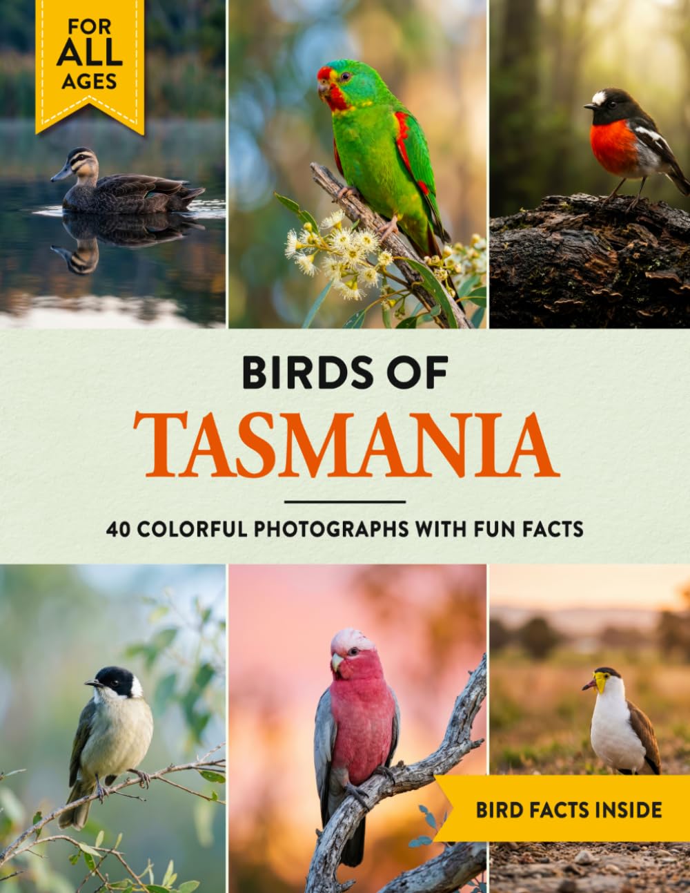 Birds of Tasmania: A Birdwatching Picture Book with Fun Facts and Photography for Kids, Adults & Birders