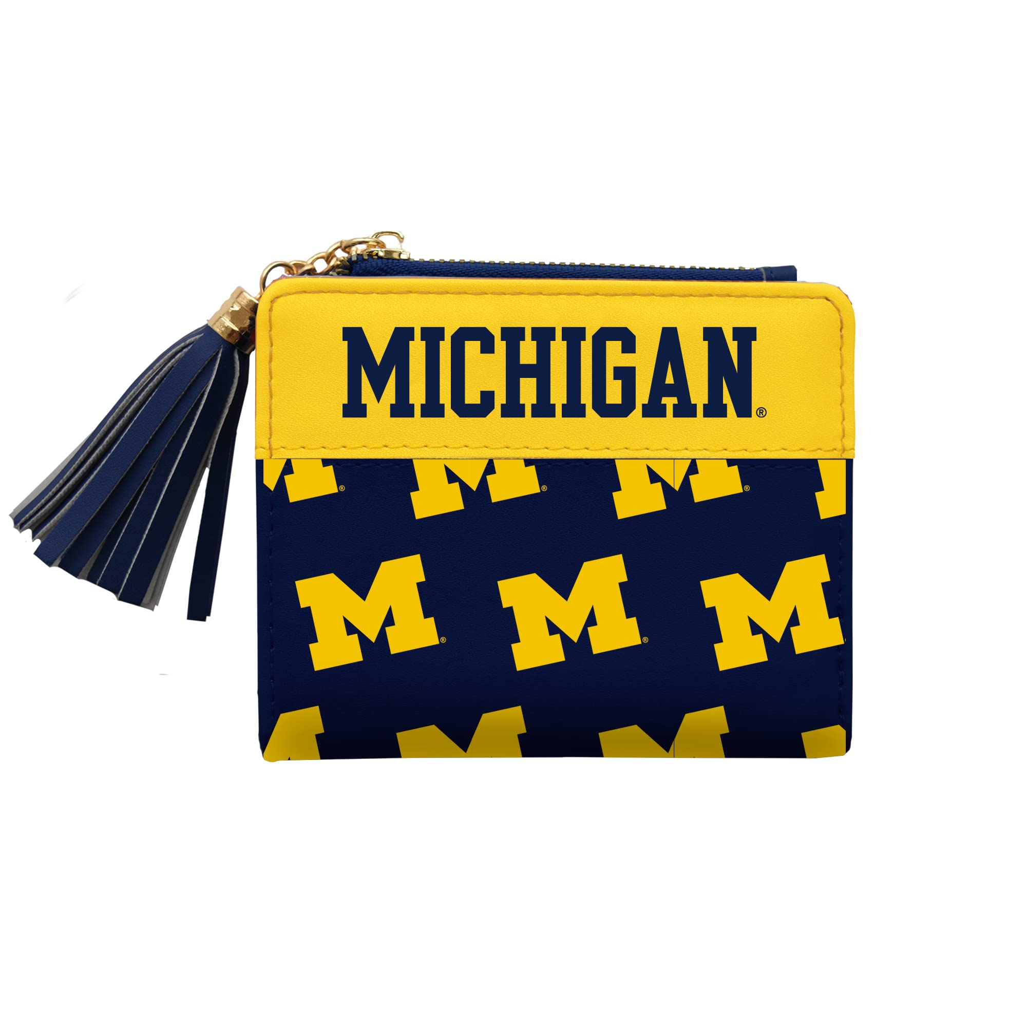 Littlearth Michigan Wolverines NCAA Mini Organizer