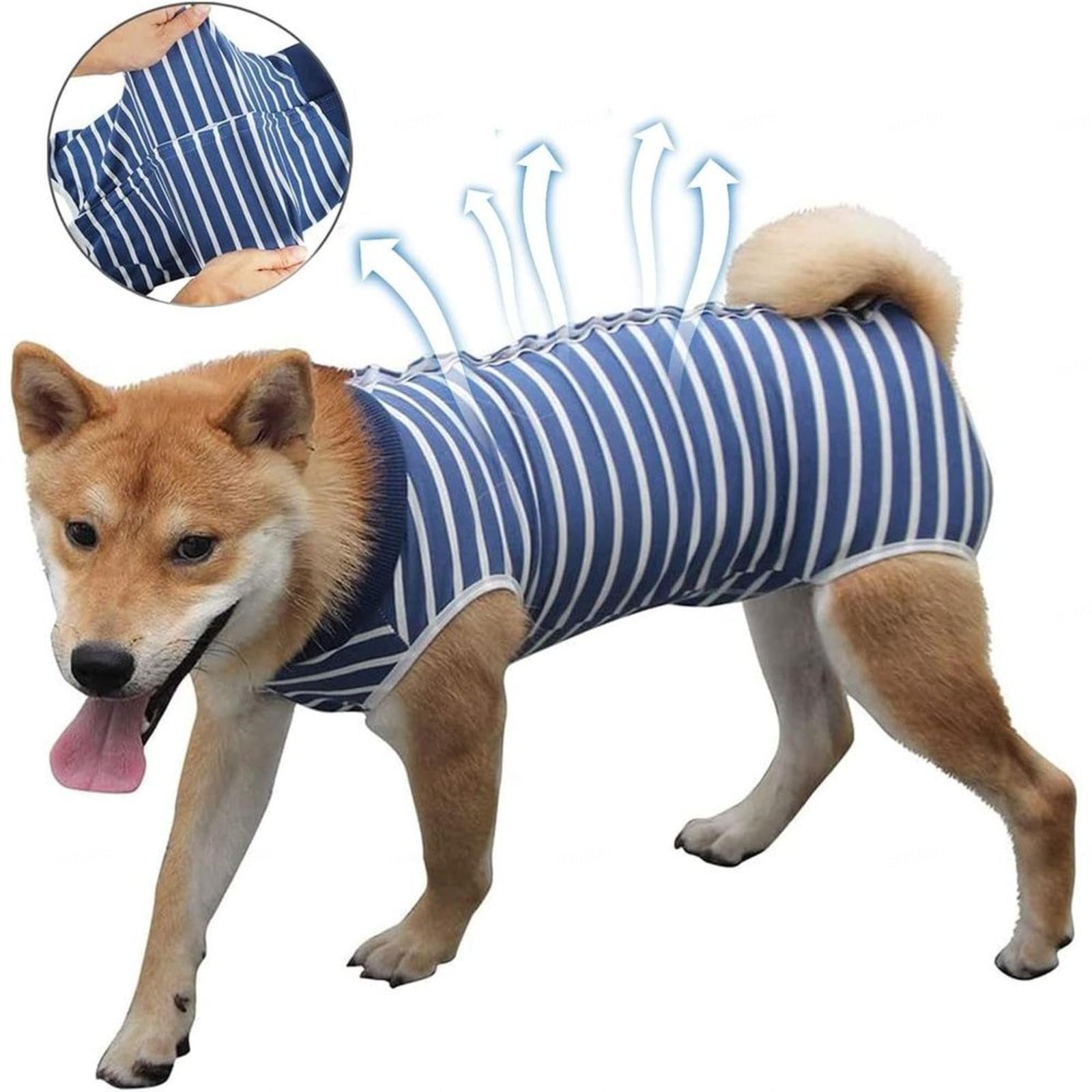 FAXIOAWA Tuta per Recupero Cani - Collare elettronico Alternativo Cono Addominale Tuta Alternativa per Recupero sterilizzazione Cani - Tuta per Recupero Cani Maschio -Vu01,Bluestripe-XXXL