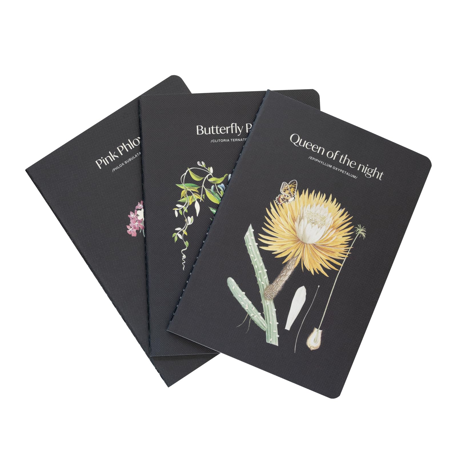 Grupo Erik A5 Notebook Set - Sleepless Garden | 3 A5 Notebooks - Lined, Plain, Dotted - 32 sheets (64 pages) | Flower Notebook, Cute Stationery Gifts Under 15 Pounds