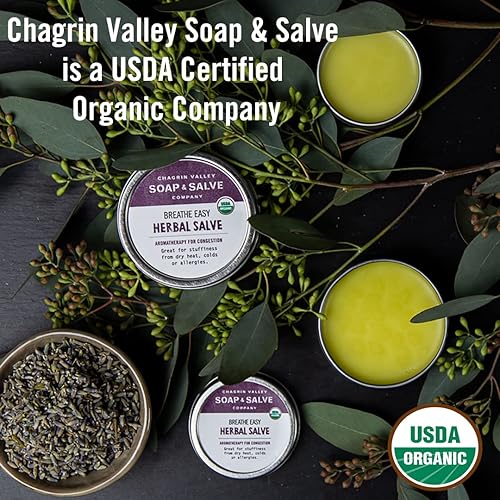 Miniatura 7 de Chagrin Valley Soap & Salve Champú seco natural orgánico en polvo, para cabello claro, menta fresca, absorbe el aceite entre lavados, refresca el