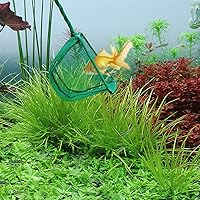 Vista 6 de 2 redes pequeñas para peces de acuario, redes grandes para peceras, redes de captura de peces, redes de estanque de peces con mango de plástico