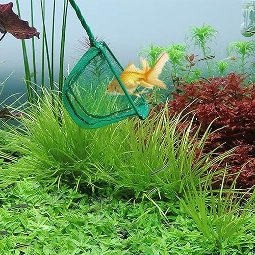 Miniatura 6 de 2 redes pequeñas para peces de acuario, redes grandes para peceras, redes de captura de peces, redes de estanque de peces con mango de plástico,