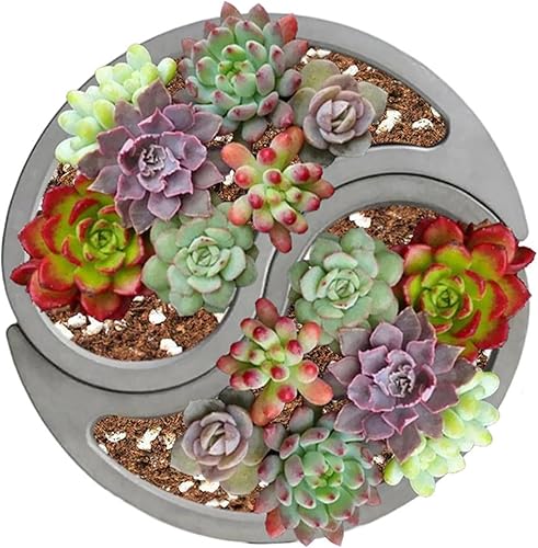 Miniatura 4 de Moldes para macetas de hormigón, macetas suculentas, moldes de silicona, símbolos de Tai Chi, moldes de cemento de arcilla para bonsái con orificio