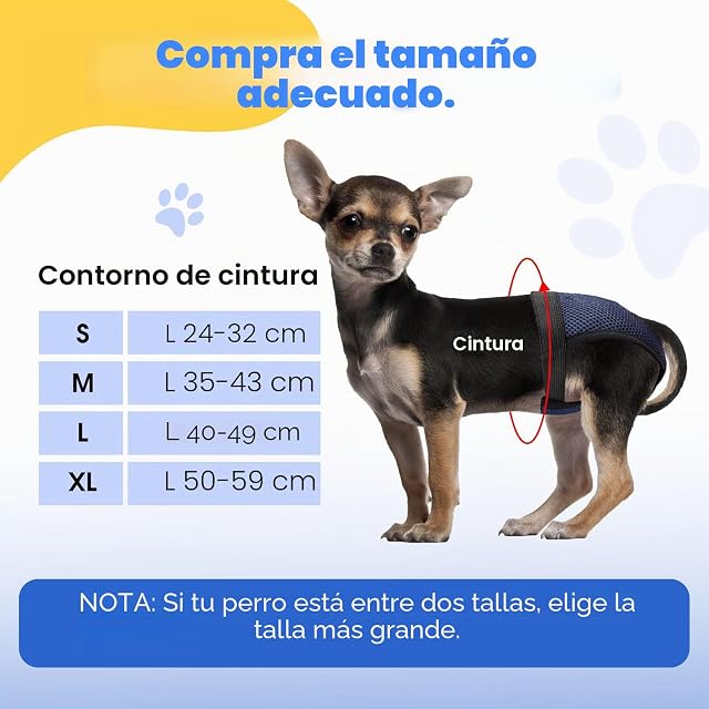 Foto 2 de 7 de 2 Piezas Bragas Perras Menstruales, Pañal Perro Hembra, Pañales Perro Macho Hembra, Pañales para Perros Hembra