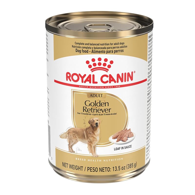 ROYAL CANIN Ração Úmida para Golden Retriever Adulto, Patê com Carne Suína, Pacote com 12 Latas de 383 g