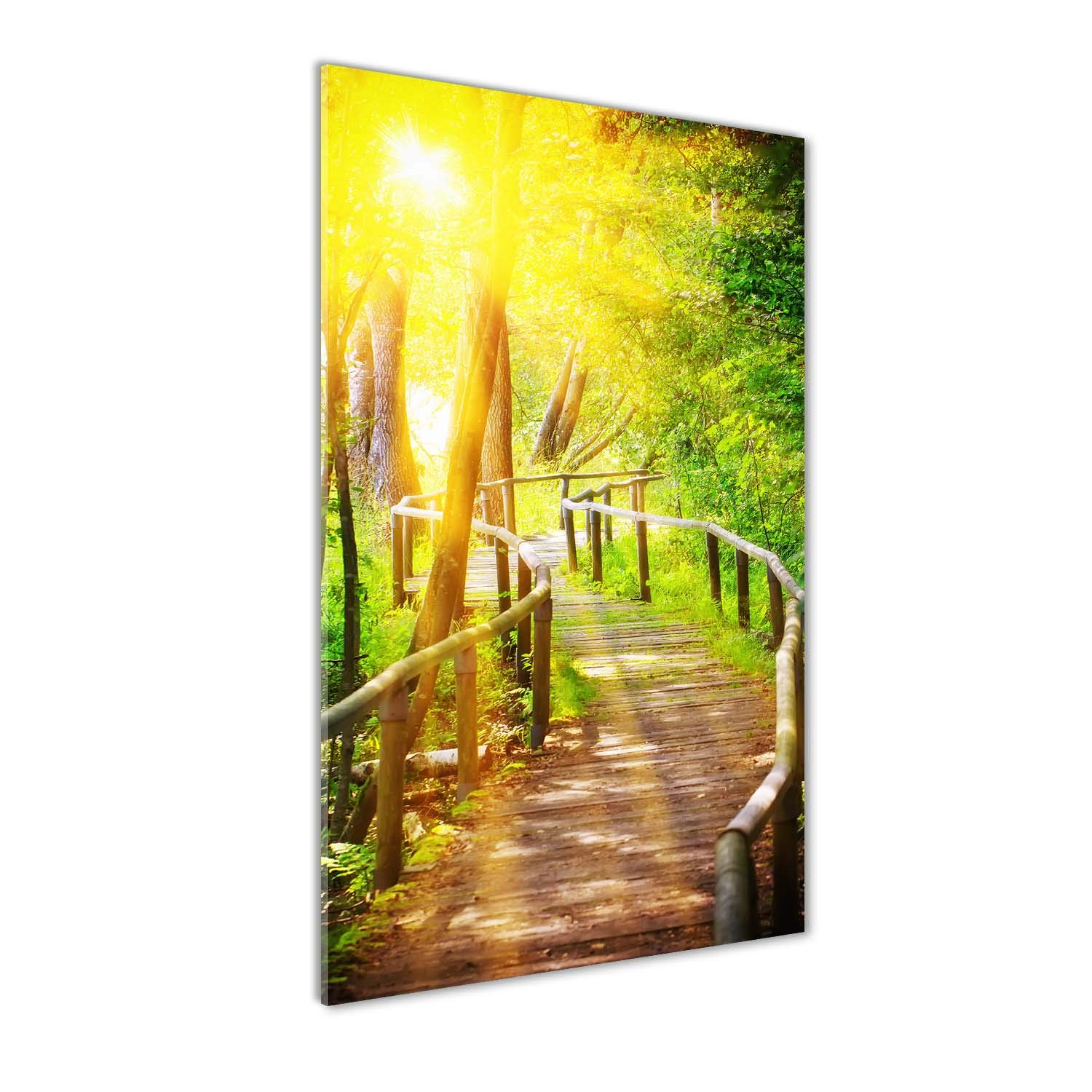Peinture sur verre trempé 70x140 cm Tulup Chemin dans la forêt