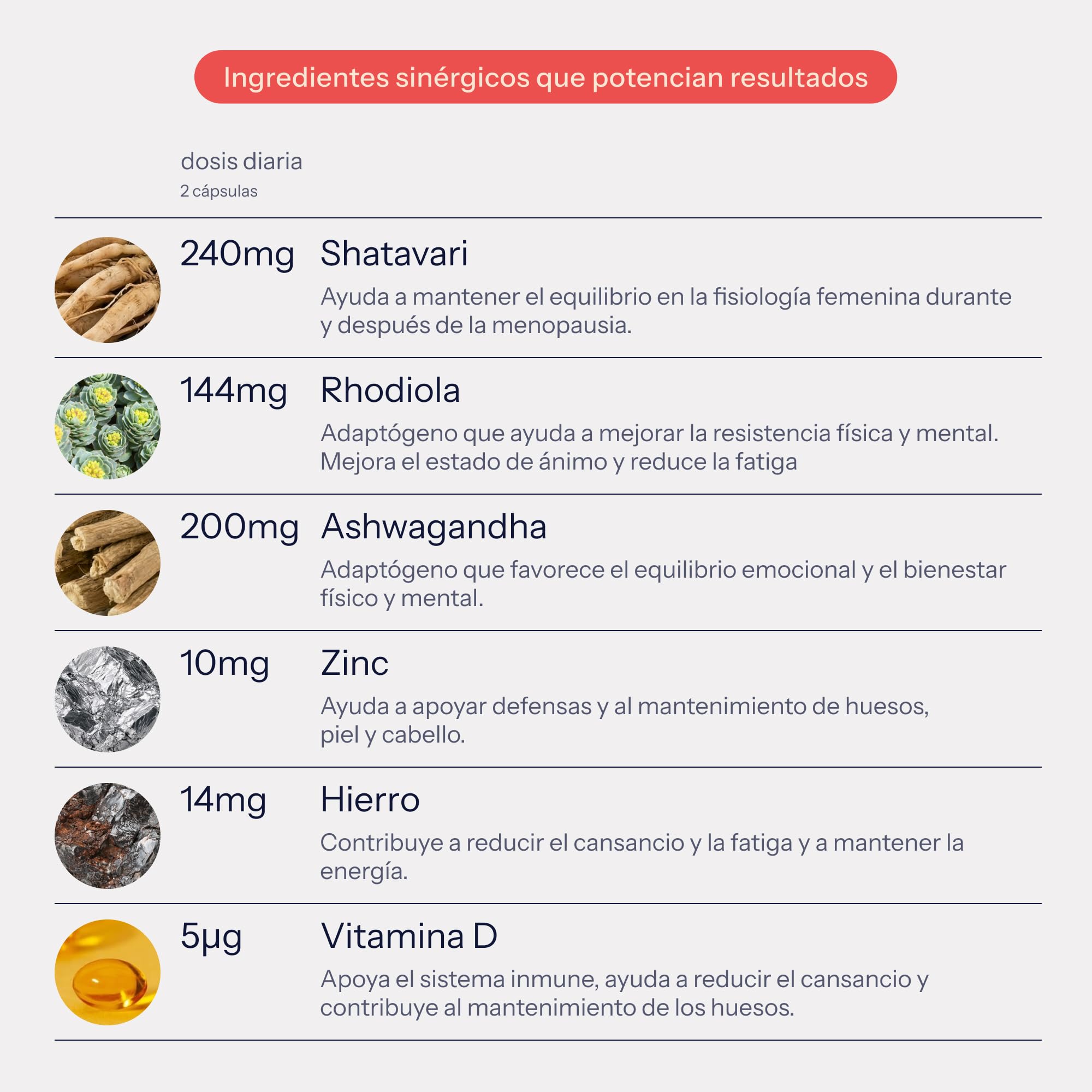 DOMMA Equilibrio Menopausia, Sofocos, Cansancio y Bienestar, 56 Cápsulas | Multivitamínico Mujer, Ashwagandha, Rhodiola, Shatavari, 12 Vitaminas y Minerales, Natural, Vegano, Sin Gluten