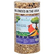 JCs Wildlife No Mess No Waste Fruit Blend Bird Seed Cylinder with Hole, Hull Free Wild Bird Food for Outside Feeders, Cardinals Woodpeckers Chickadees Nuthatches Wrens, Made in the USA, 2 lb Pack of 1