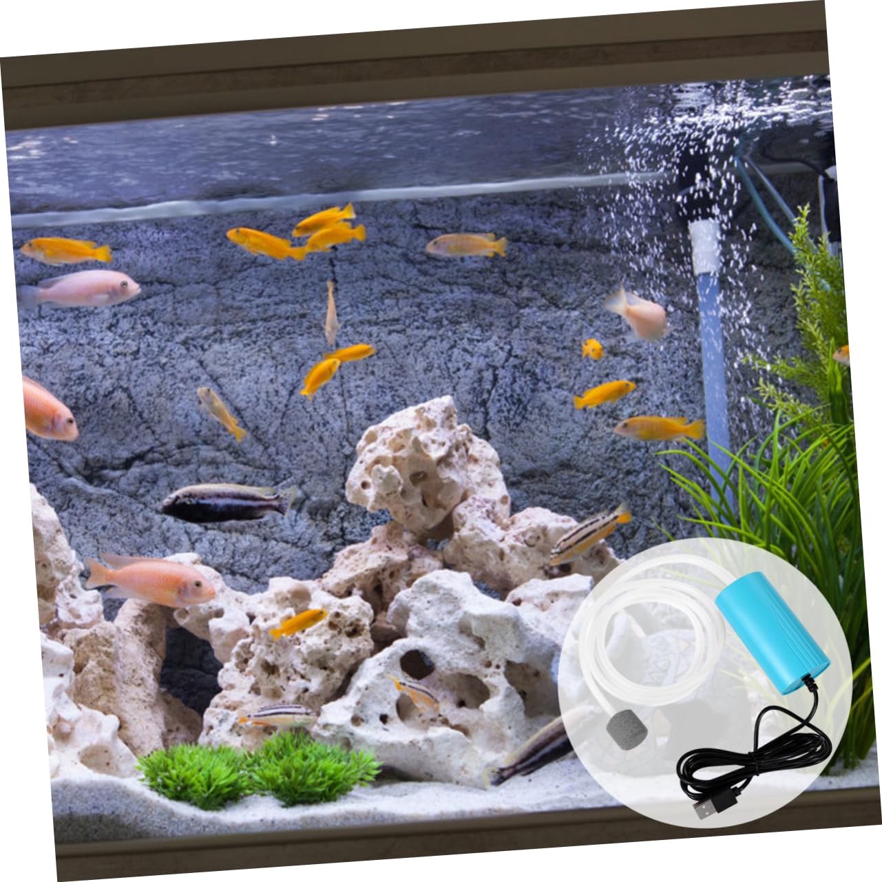 Happyyami 3piezas Bomba De Aire Portátil USB para Acuario Silenciosa para Mantener Tanques Actividades Al Aire