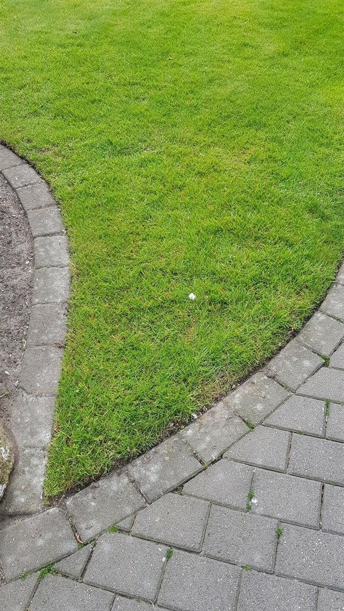 Praktischer Rasenkantenschneider mit korrosionsgeschütztem Stahlblatt, Gartenzubehör schneiden von Rasenkanten, passend - Made in Germany - Einzelteile in Deutschland gefertigt