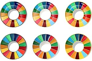 SDG Enamel Pin: Rainbow Lapel Pin for Sustainability Advocacy
