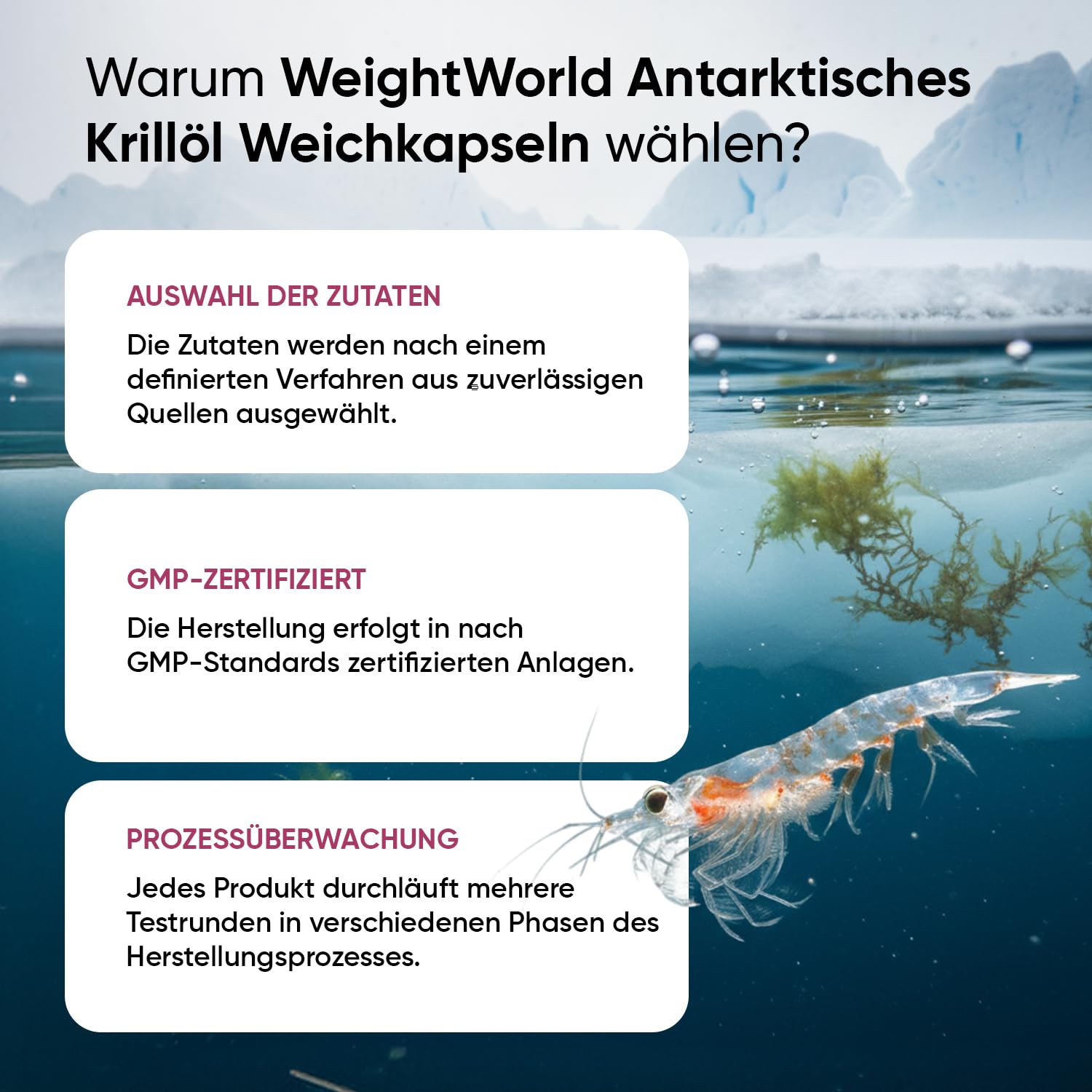 WeightWorld Antarktisches Krillöl Weichkapseln - 1200 mg pro Portion Liefert Omega 3, DHA, EPA, Astaxanthin, Cholin, Marine Phospholipide, 180 Softgels für 3 Monate, Gluten- & laktosefrei