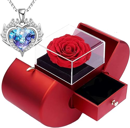 Caja de almacenamiento con forma de manzana con forma de manzana preservada con collar de joyería de ala de ángel para mujer, día de San Valentín,