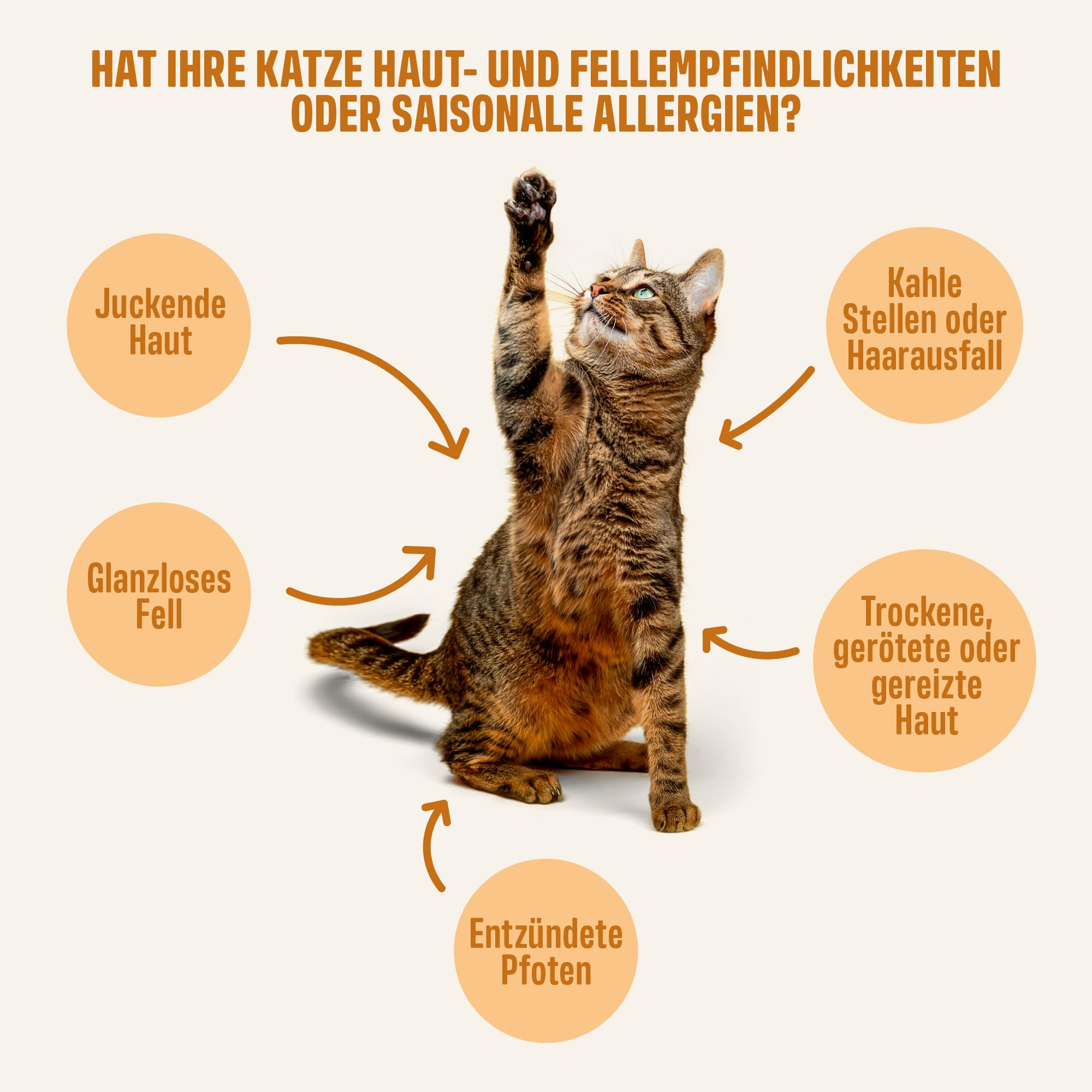 ivvi Haut & Fell Essenz für Katzen – Schlecksnack mit Lachsöl, Algenöl, Zink & Kollagen – unterstützt Haut & Fell – 30x15g – mit echtem Thunfisch