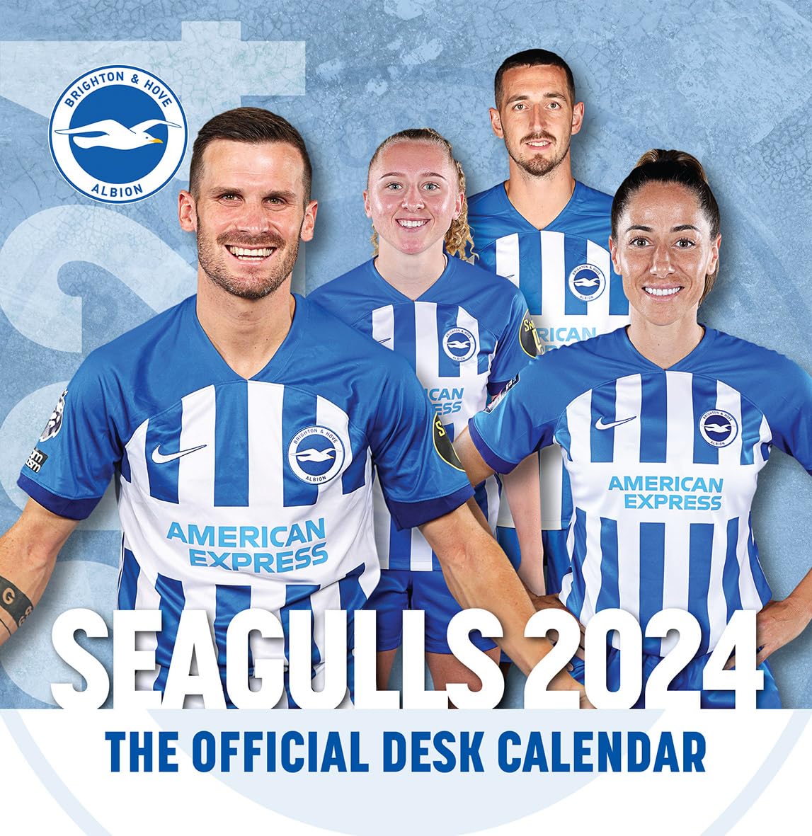 ブライトン　Brighton & Hove Albion ウェア M ブライトン Brighton & Hove Albion ウェア M