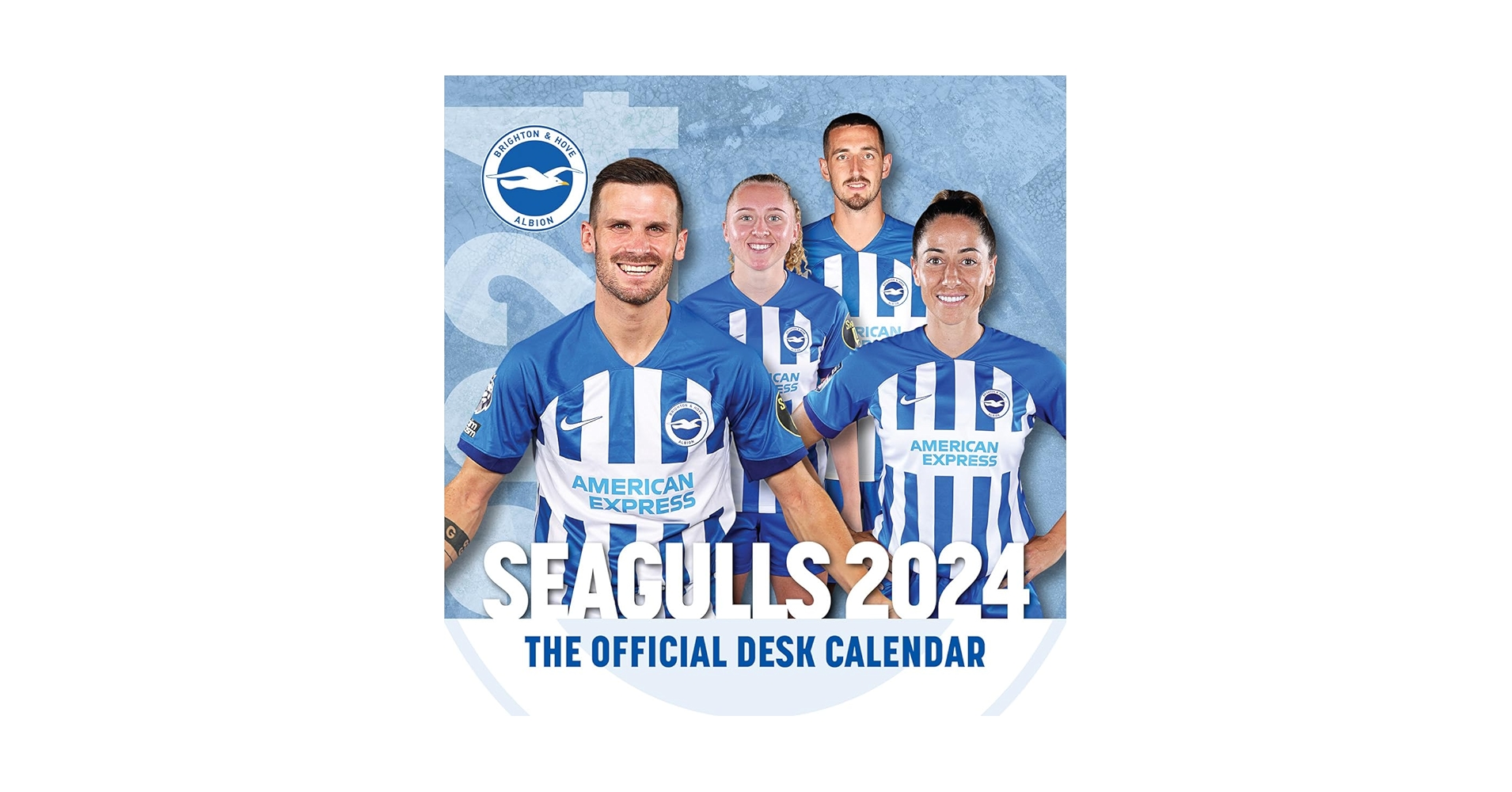 Amazon.co.jp: OFFICIAL BRIGHTON HOVE ALBION FC DESK CA