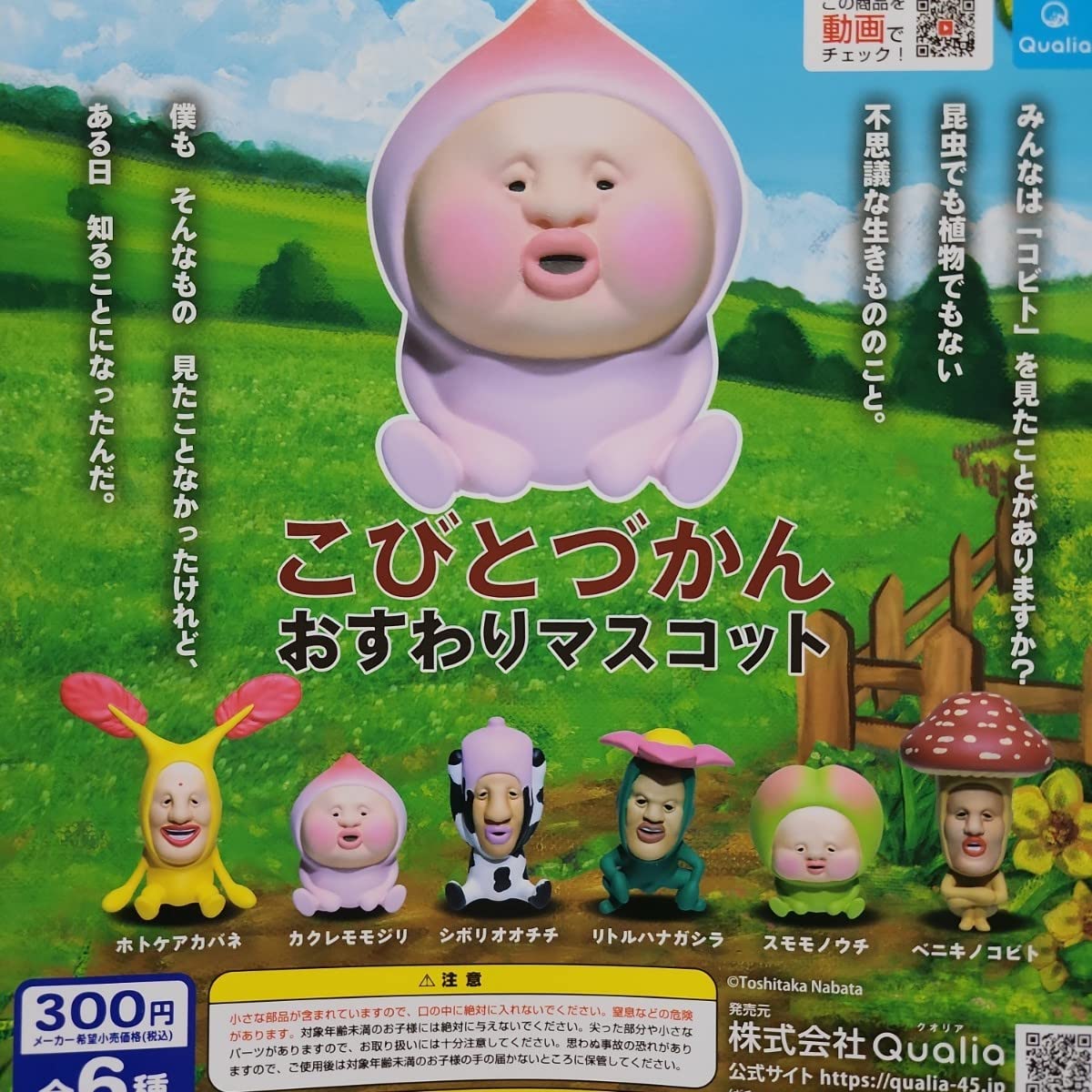 Amazon.co.jp: 全6種 こびとづかん おすわり マスコット ガチャ